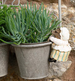 Beatrix Potter Mrs. Tiggy-Winkle Hanging Pot Buddies