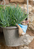 Beatrix Potter Peter Rabbit Climbing Hanging Pot Buddies