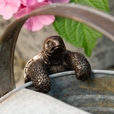 Tortoise Hanging Pot Buddies