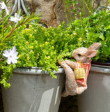 Beatrix Potter Flopsy Bunny Climbing Hanging Pot Buddies | Superkidz 