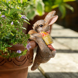 Beatrix Potter Flopsy Bunny Climbing Hanging Pot Buddies | Superkidz 
