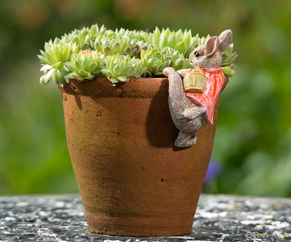 Beatrix Potter Flopsy Bunny Climbing Hanging Pot Buddies | Superkidz 