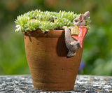 Beatrix Potter Flopsy Bunny Climbing Hanging Pot Buddies | Superkidz 