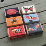 Wildlife Collection Seed Boxes