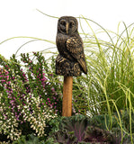Barn Owl Cane Toppers