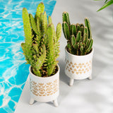 Ibiza Modern Planter on Legs