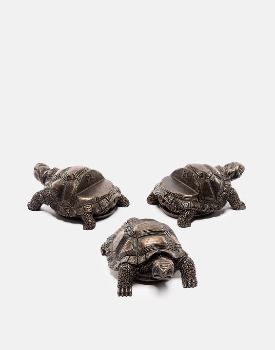 Tortoise Plant Pot Feet Set of 3