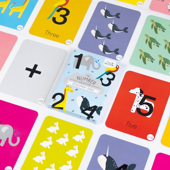 Number Flash Cards 