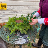 Simon King Bird Nesting Wreath