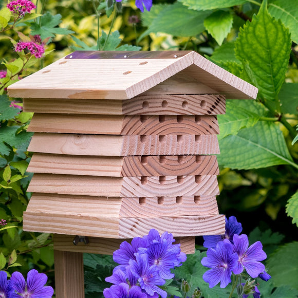 Solitary Bee Hive Starter Kit 