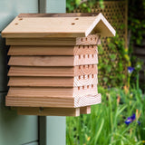 Solitary Bee Hive Starter Kit 