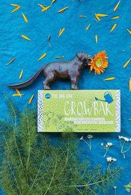 The Dog Bar Grow bar Flowers