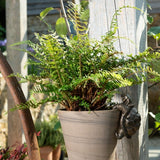 Tortoise Hanging Pot Buddies