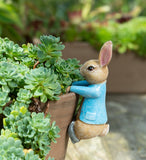 Beatrix Potter Peter Rabbit Hanging Pot Buddies