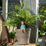Beatrix Potter Peter Rabbit Sitting Pot Buddies