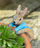 Beatrix Potter Peter Rabbit Climbing Hanging Pot Buddies