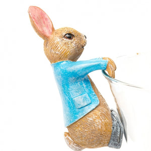 Beatrix Potter Peter Rabbit Hanging Pot Buddies