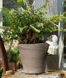 Beatrix Potter Mrs. Tiggy-Winkle Hanging Pot Buddies