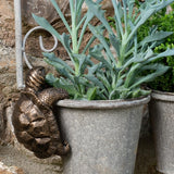 Tortoise Hanging Pot Buddies
