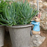 Beatrix Potter Peter Rabbit Hanging Pot Buddies