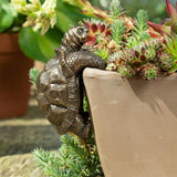 Tortoise Hanging Pot Buddies
