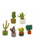 needle felt plants